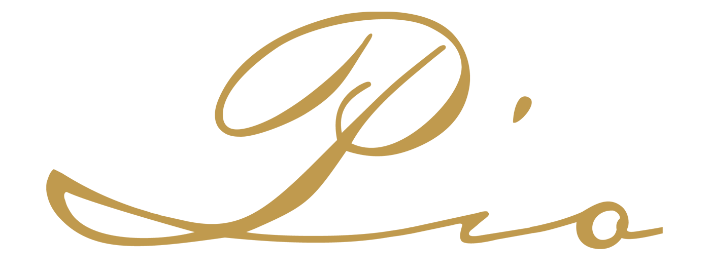 pio-logo-big Pio logo